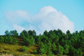 the mountain landscape
