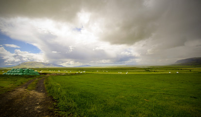 Obraz premium Iceland