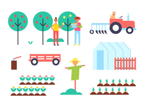 Greenhouse and Tractor Farm Vector Illustration