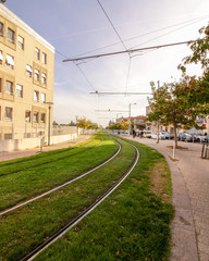 Fototapeta na wymiar Tramway of Montpellier