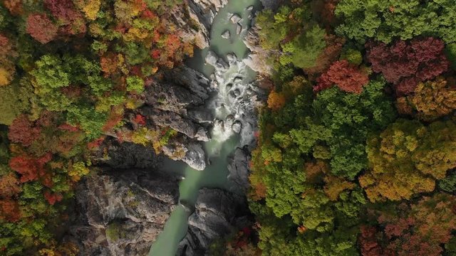 Aerial view of Ryuokyo valley and autumn foliage, Nikko, Tochigi, Japan