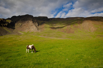 Iceland