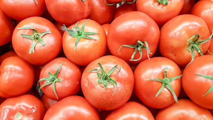 Delicious red tomatoes. Summer tray market agriculture farm full of organic vegetables