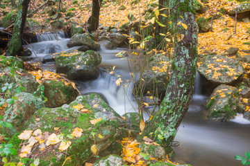 Río Sierra de Madrid river