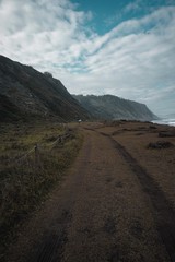 the beach and coast in the nature
