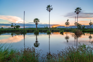 Obraz premium Lagoa das Marrecas