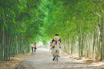 Happiness couple ride a bicycle in the bamboo park