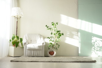 interiors white room with armchair and Greens