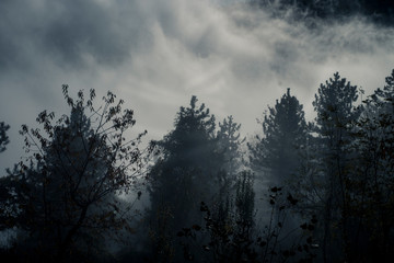 Piana delle mele, Guardiagrele, Abruzzo