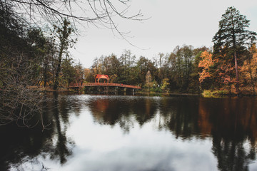 Fototapeta premium beautiful autumn landscape with lake