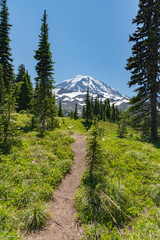 schmaler pfad, der über wald und wiesen zum vereisten Gipfel eines Berges führt, Mt. Rainier, National Park, Washington, USA