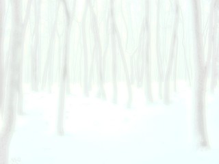 Winter forest background image with negative space