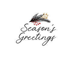 Season's Greetings Hand Lettering Greeting Card. Vector Illistration. Modern Calligraphy. Handwritten Christmas Decor. Isolated on white background.