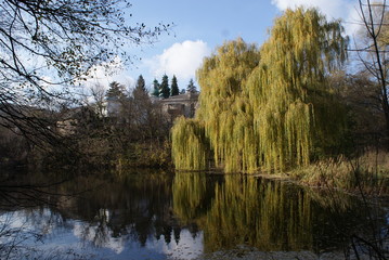 Obraz premium Landscape with lake and nature