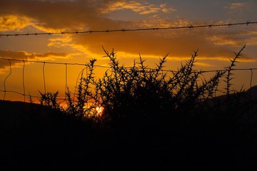 Obraz premium the sunset in the sky
