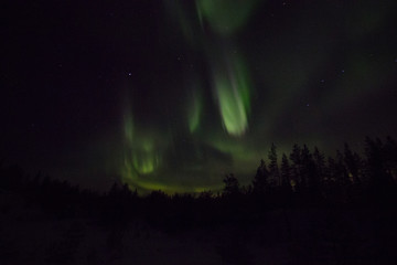 Northern lights in lappland