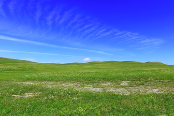Fototapeta premium Summer background a green grass field on small hills in Khakassia and blue sky with clouds