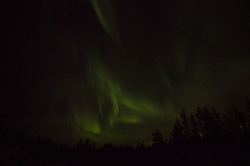 northern lights in Lappland