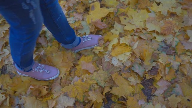 Close-up of female legs in jeans and pink shoes, walking in the park, on which the autumn fallen map...	
