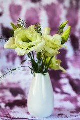 Bouquet of yellow-green lisianthus flower in white vase on violet background.