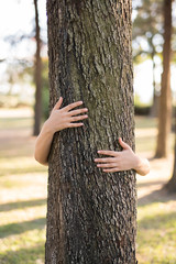 Closeup hands of woman hugging tree with sunlight