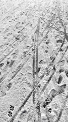 Texture Snow on Asphalt