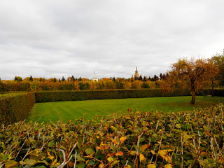 Autumn trees in sunny October park lit by evening sunshine. Colorful autumn landscape with sunbeams breaking through the autumn trees. Sunny autumn landscape with spreading autumn trees in the autumn 