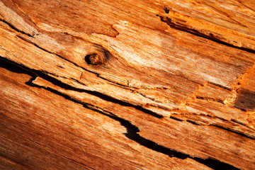 Obraz premium detail decayed and weathered wood