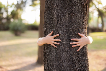 Closeup hands of woman hugging tree with sunlight