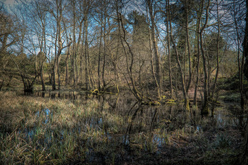 Packwood house (grounds )