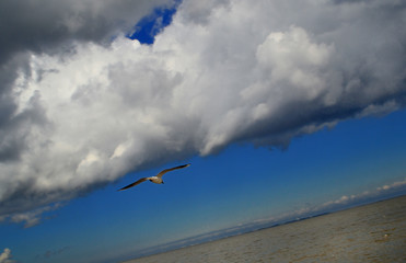blue sky and clouds