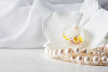 Obraz na płótnie Canvas Orchid flower with a pearl necklace.