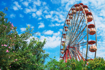 Red ferris wheel in the city park.