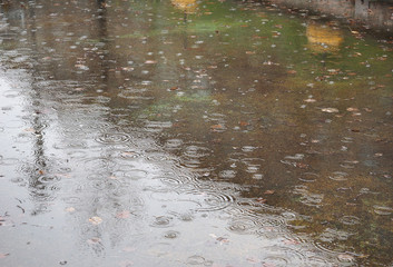 rain water puddle background
