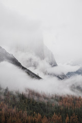 fog in the mountains