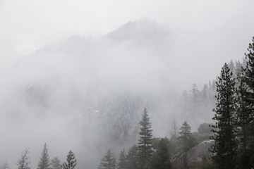 fog in the mountains