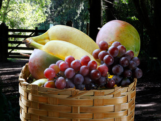 fruit basket on the farm with grape, mango, banana.