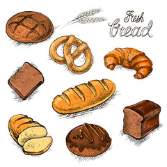 set of fresh bread and buns hand drawn