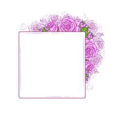Beautiful banner with pink roses, vector illustration isolated on white background with place for text