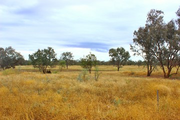 paysage Australien