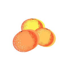 Vector illustration with three tangerines