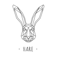 Hare stylized triangle polygonal model. Vector illustration