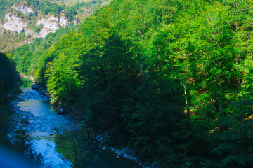 Naklejka na ściany i meble the gorge of the river Tara in Montenegro surrounded by picturesque mountains.Europe