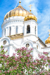 View of the Cathedral of Christ the Saviour in Moscow in spring sunny day. Around lilac trees blossom