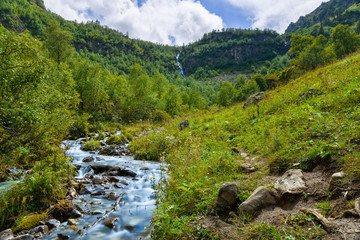 River in the mountains of Arkhyz. The beautiful summer landscape with forest mountain.