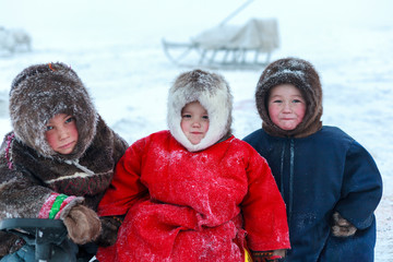 A resident of the tundra, indigenous residents of the Far North, tundra, open area, children ride on sledges, children  in national clothes