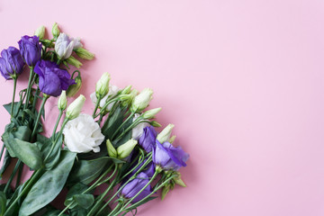Frame of purple white Lisianthus on pink background.
