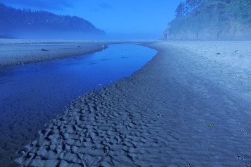 Neskowin Creek at Sunrise with seagull