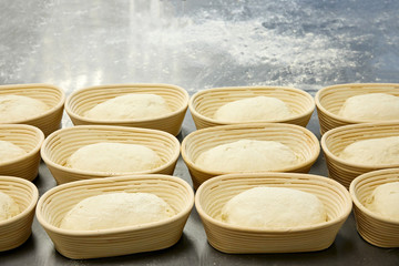Bread making process, bread dough in a row at the bakery