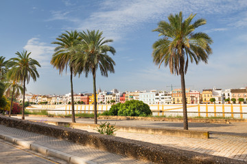 Fototapeta na wymiar Seville, Waterfront view of the city, Andalusia, Spain